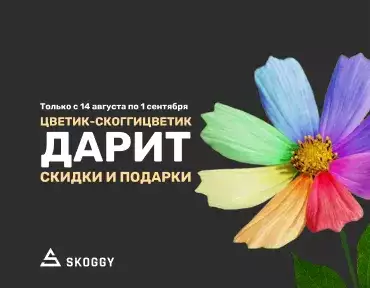 Акция от SKOGGY в августе