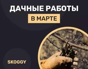 Дачные работы в марте