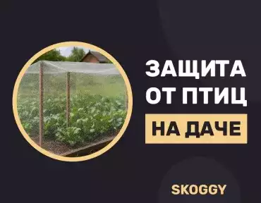 Средства защиты от птиц: на крыше, на заборе, на участке